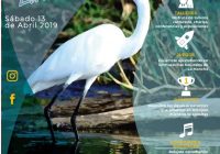 En abril se llevará a cabo el Festival de las Aves y Humedales en la mancha.