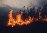 Apoya SSP a sofocar incendio, en Soledad Atzompa