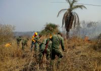 Atienden PC y SEDEMA tres incendios forestales en la entidad