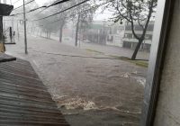 Calles inundadas, caída de árboles y espectaculares es el saldo de la tormenta de este domingo en Xalapa.