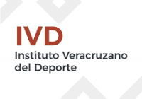 Iván Domínguez Guerrero nuevo titular del IVD