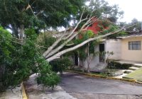 Consecuencia del paso del frente frío número 8