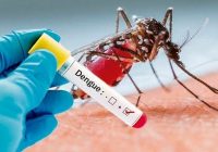 Veracruz registra 666 casos de dengue de acuerdo a informe de la Secretaría de Salud federal