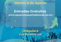 Mañana 09 de agosto, martes gratuito en el Aquarium del Puerto de Veracruz