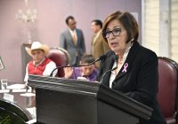 Oposición, mal informada en el tema de inseguridad; INEGI reporta que México disminuyó 17% en homicidios: Mago Corro