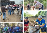 Bienvenido 2024, Parlamento Veracruz