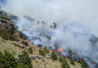 Ante altas temperaturas, recomiendan a polbiación tomar previsiones ante riesgo de incendios forestales