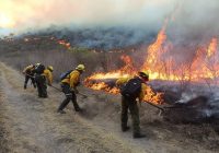 Incendio forestal se registra en Minatitlán, suman siete conflagraciones en la entidad