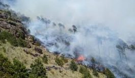 Inicia Veracruz la semana con cuatro incendios forestales activos