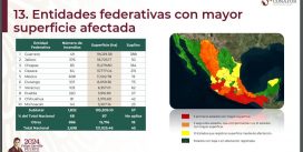 En temporada de incendios forestales, Veracruz registra 103 conflagraciones