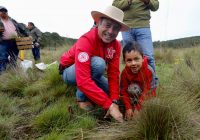 Con drones seguirán reforestando Veracruz: Cuitláhuac García