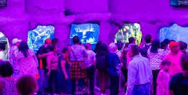 Más de 8 mil visitantes disfrutaron del Martes Gratis en Aquarium del Puerto